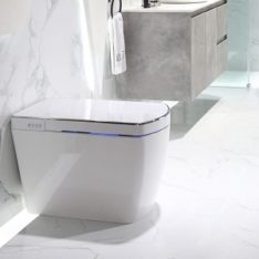 Lafeme Smart Toilet Small